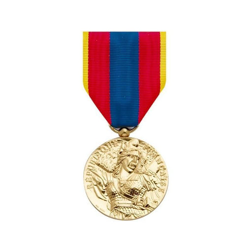 Médaille DÉFENSE NATIONALE OR DMB Products - Autre - - Welkit.com - 3662950057038 - 1