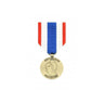 Médaille PROTECTION MILITAIRE DU TERRITOIRE DMB Products - Autre - Welkit.com