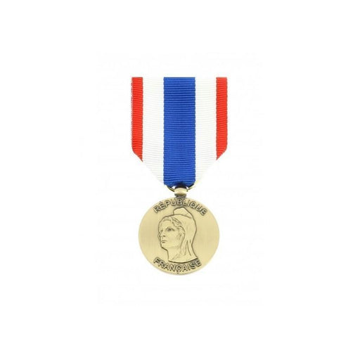 Médaille PROTECTION MILITAIRE DU TERRITOIRE DMB Products - Autre - - Welkit.com - 3662950056987 - 1