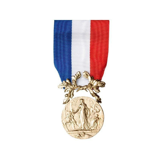 Médaille SAUVETAGE BRONZE DMB Products - Autre - - Welkit.com - 3662950057076 - 1